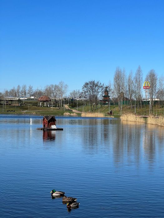 Хостел Деснянский р-н, ТРЦ SkyMall/Скидки при долгосрочном заселении!