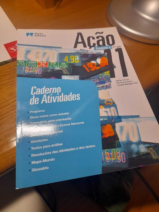 Cadernos de atividades 10º e 11º