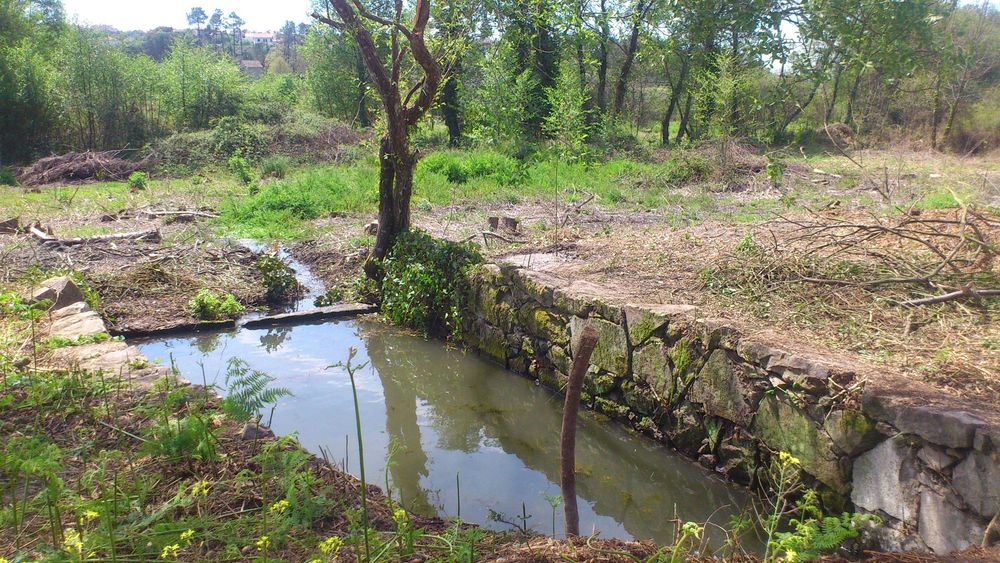Quinta em Mangualde