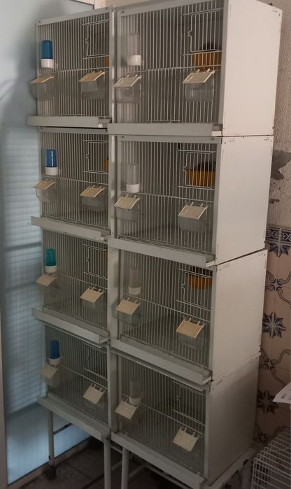 Viveiros de criação