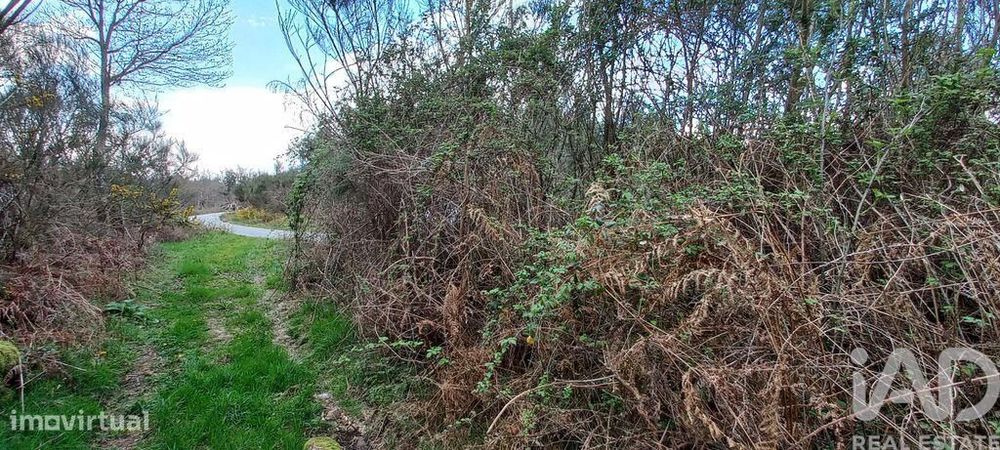Casa rústica em Cambra e Carvalhal de Vermilhas de 3971 m2