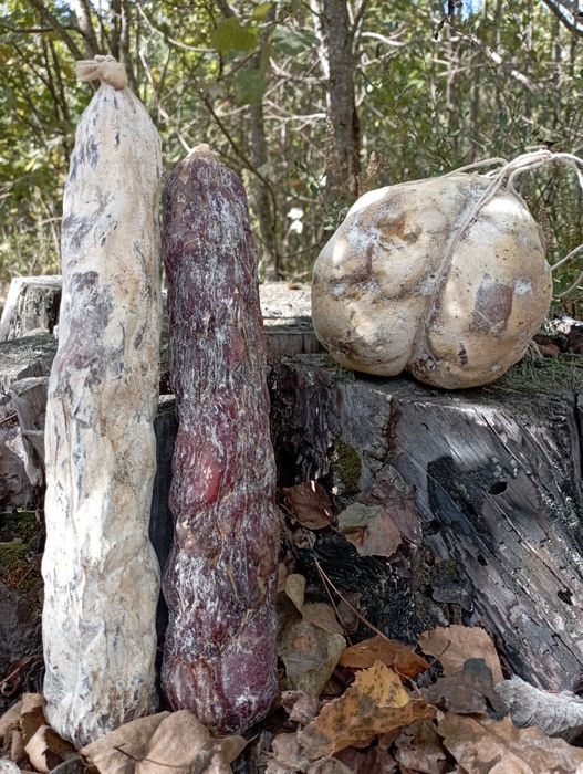 Мацик поліський домашній, каврук, сиров'ялене м'ясо