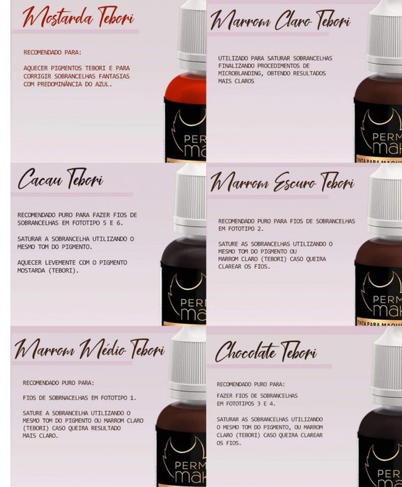 Pigmento Electric Ink 8mls