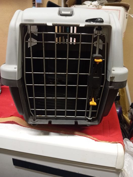 Transportadora de Animais