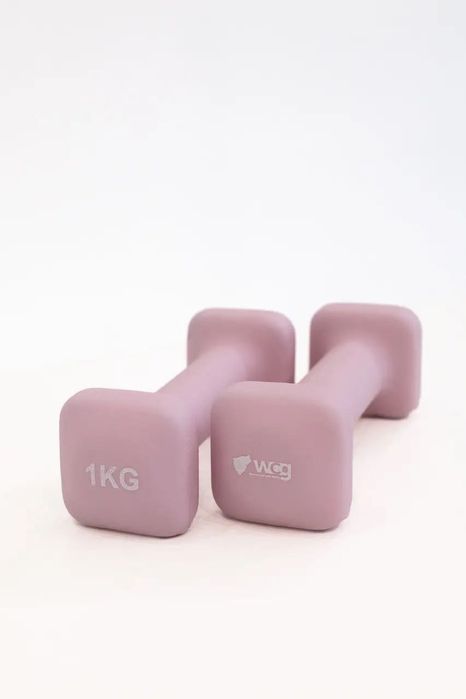 Гантелі для фітнесу WCG Cube 2×1 кг