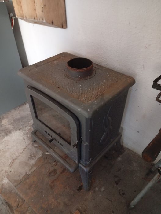 Vendo salamandra de pequenas dimensões