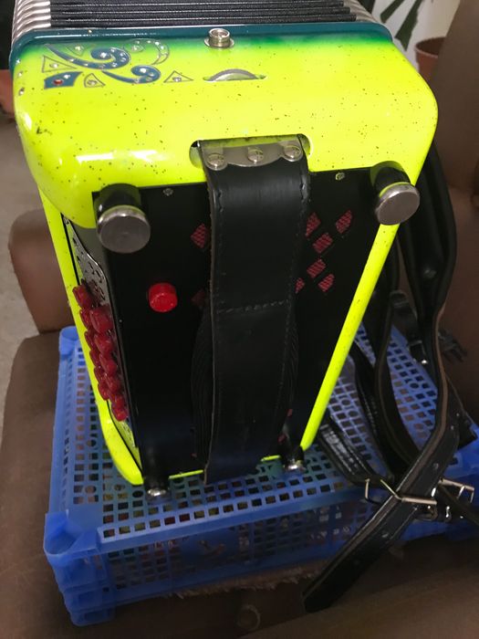 Vendo concertina da Famosa marca Dinobafetti semi nova