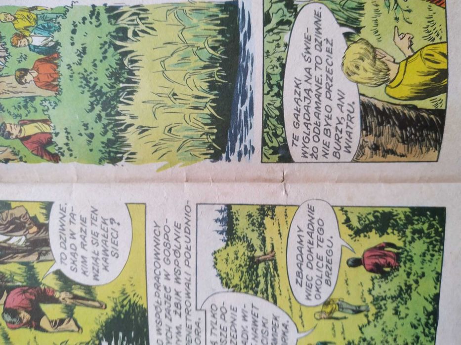 Kapitan Żbik Zerwana sieć 1977