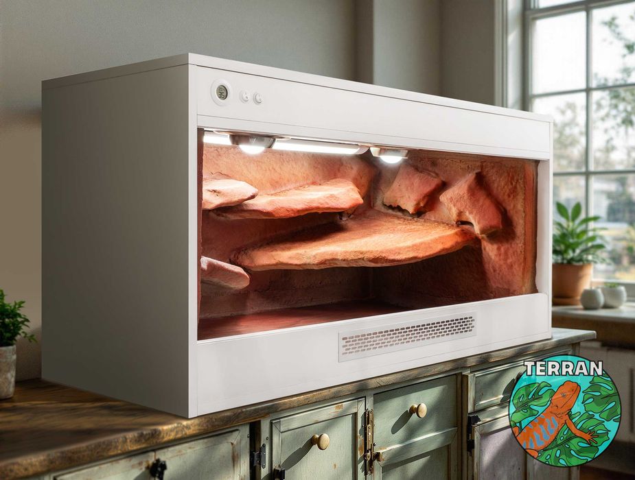 Terrarium 120x60x60 cm Anolis Gekon Agama wąż zbożowy