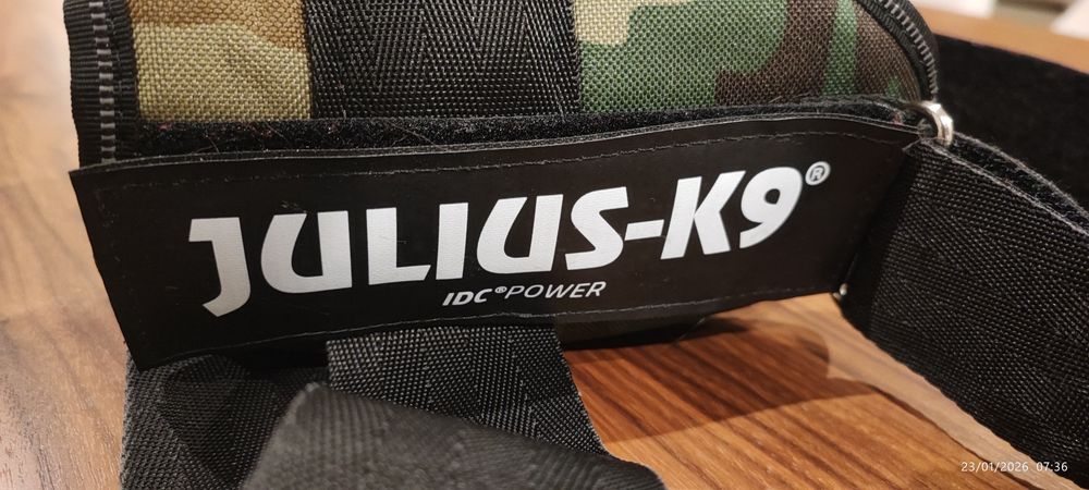 Dorsal de cão Julius K9