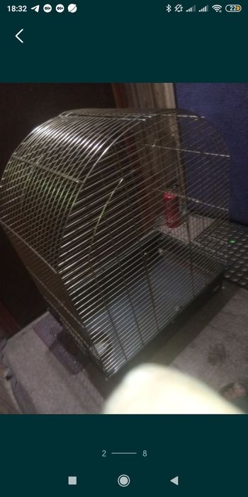 80 см большая клетка для домашнего живильного большая в идеале