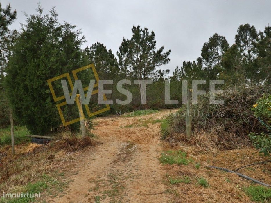 Terreno no Sobral de Abelheira - Terreno rústico de 5025m2 — Azueira E Sobral Da Abelheira, Lisboa