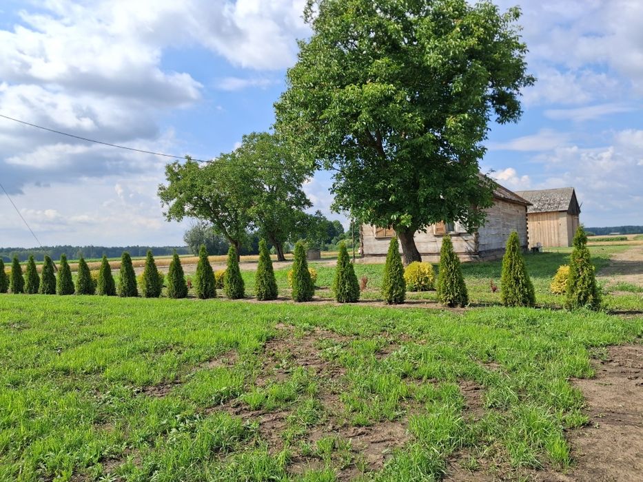 Siedlisko Rozwadówka