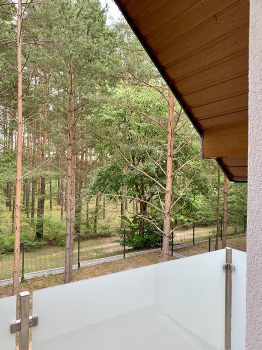 Wynajem domków w lesie, Roztocze, Zwierzyniec, JACUZZI, SAUNA, SPA