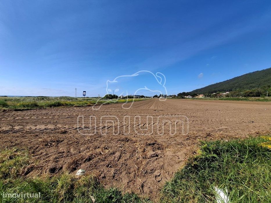 Terreno em Carreço