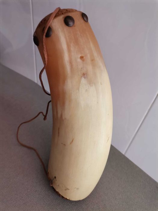 Corna Antiga (excelente estado)