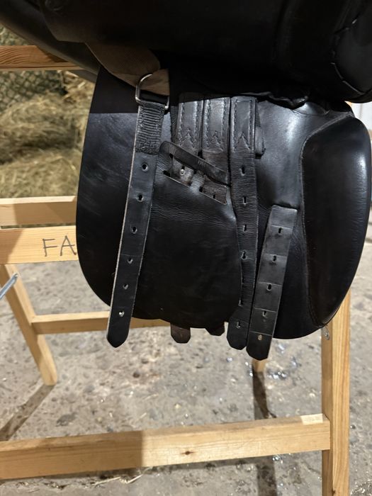 Prestige GP 2  17/35