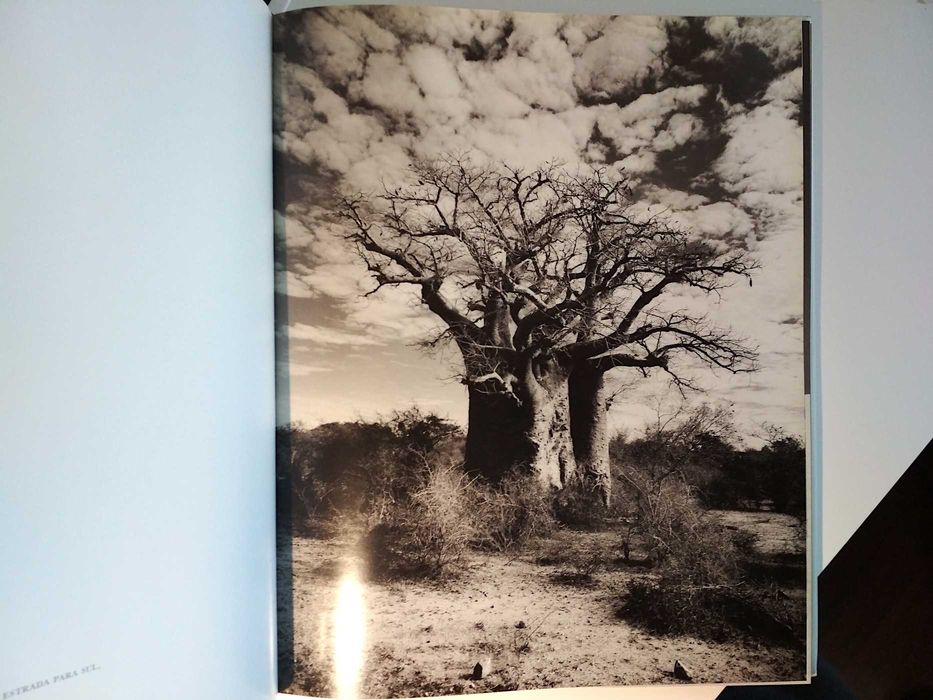 Madagáscar - Gian Barbieri (Taschen / formato grande / porte incluído)