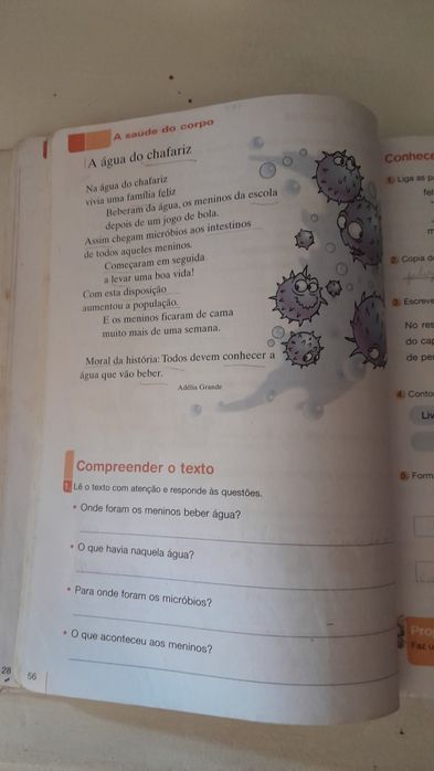 Pirilampo 2 - Língua portuguesa