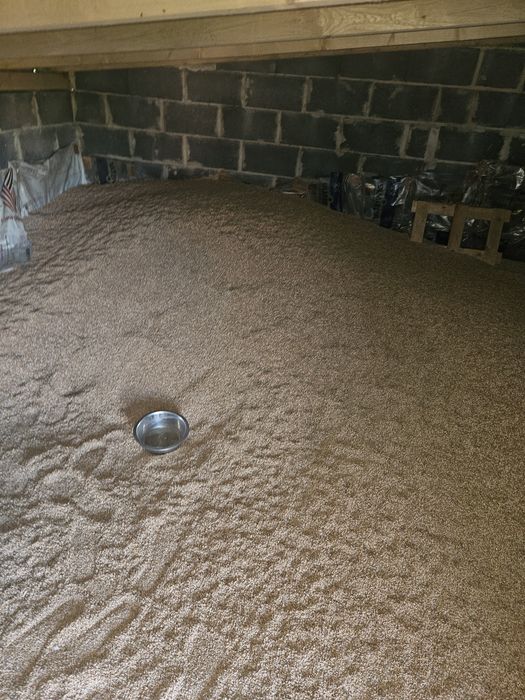 Sprzedam pszenzyto 700zł/tona