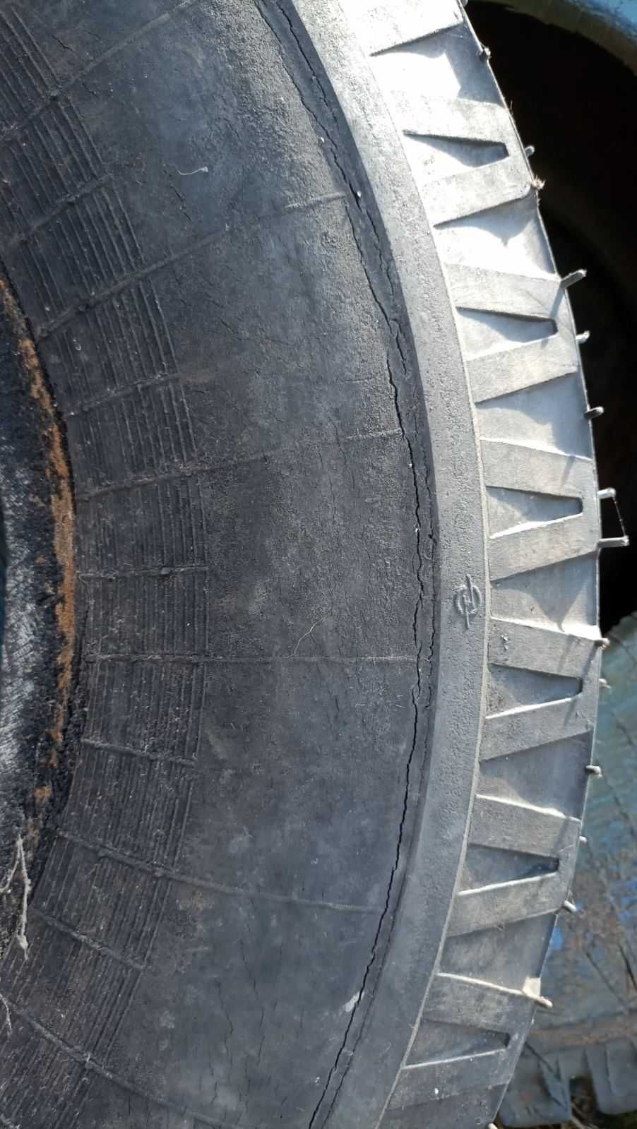 Шина 8.25R20 240-508М-149: 4 000 грн. - Автошини Романів на Olx
