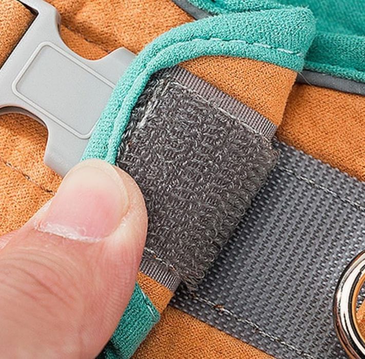 Szelki + smycz dla małych psów