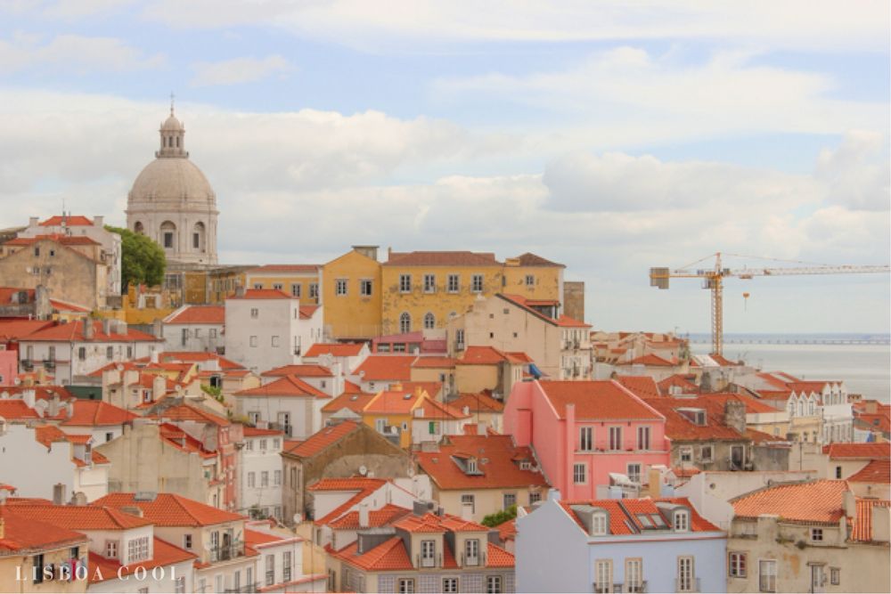 Acompanhante/ Companhia para o que necessitar