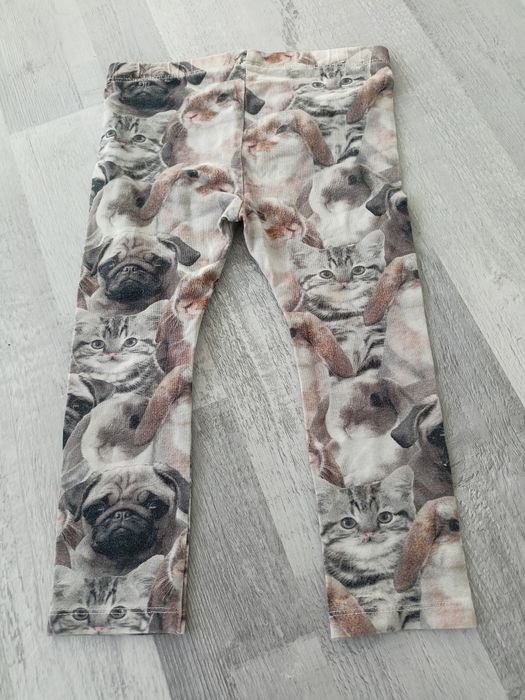 Legginsy dla dziewczynki dziecięce koty name it