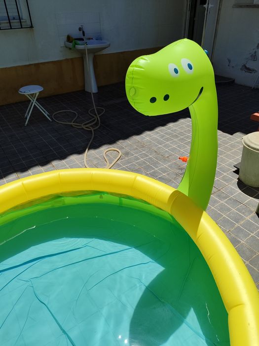 Piscina dinossauro continente (zoko)