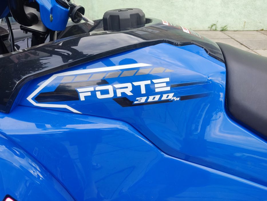 Квадроцикл Forte ATV 300 BS