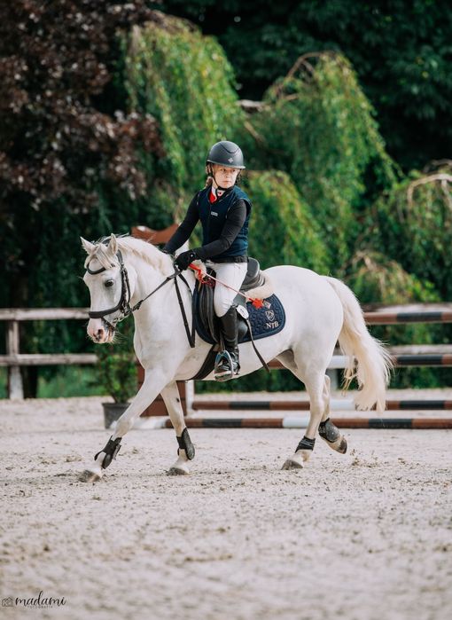 Ariele - kuc o cudownym charakterze 128cm