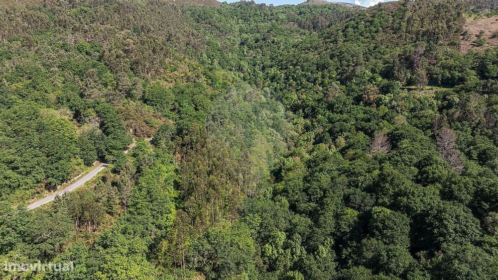 Terreno  para venda