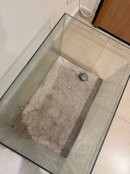 Aquário de Vidro