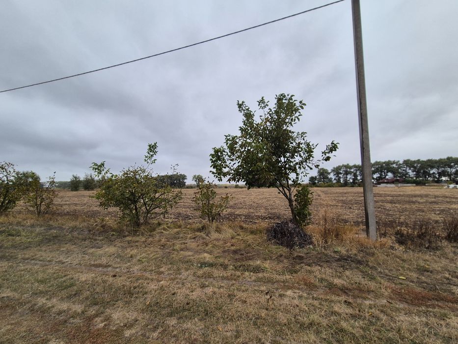 Ділянка 20с. с.Гавришівка