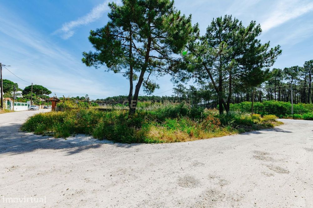 Terreno Urbano na Charneca de Caparica | Pinhal da Aroeira