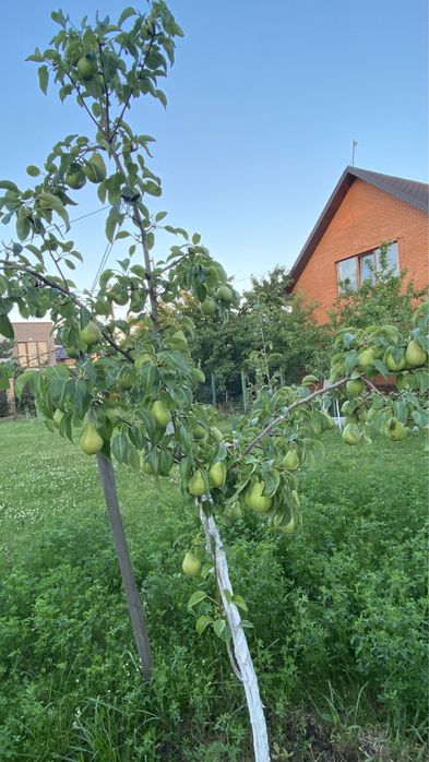 Продаж Будинку 2-х пов. 180м2, с. Романків, м. Київ 20 км. м. Обухів 10км.