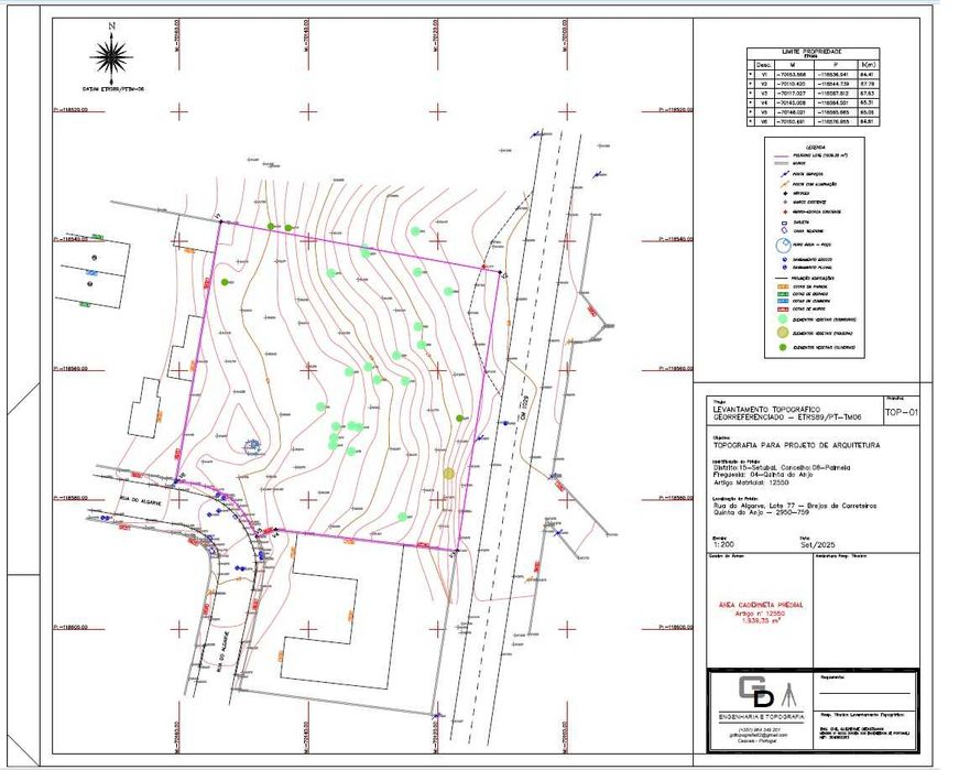 Levantamentos Topográficos e Arquitetônicos - Diretor e Fisc. de Obras