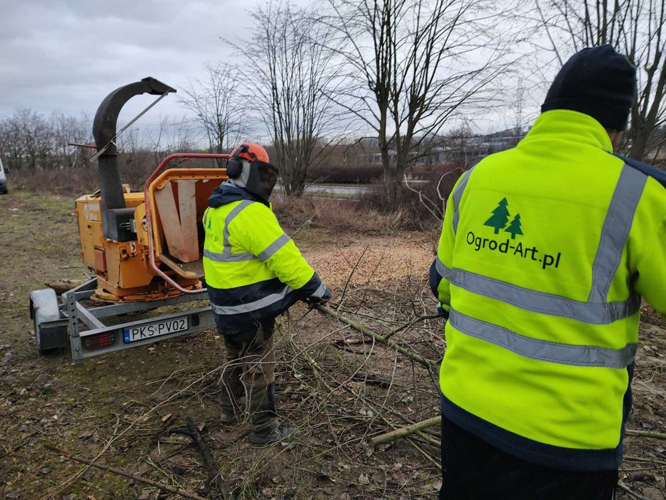Wycinki  pielegnacje drzew rębak karczowanie wywóz gałęzi pilarz drwal