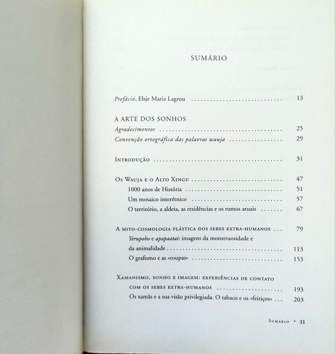 Aristóteles Barcelos Neto - A Arte dos Sonhos: Uma Iconografia Ameríndia