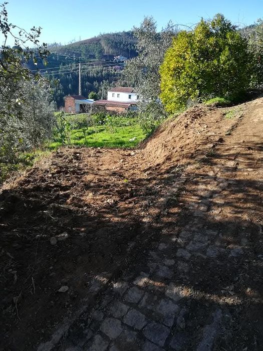 Terreno com árvores de fruto e oliveiras e ...