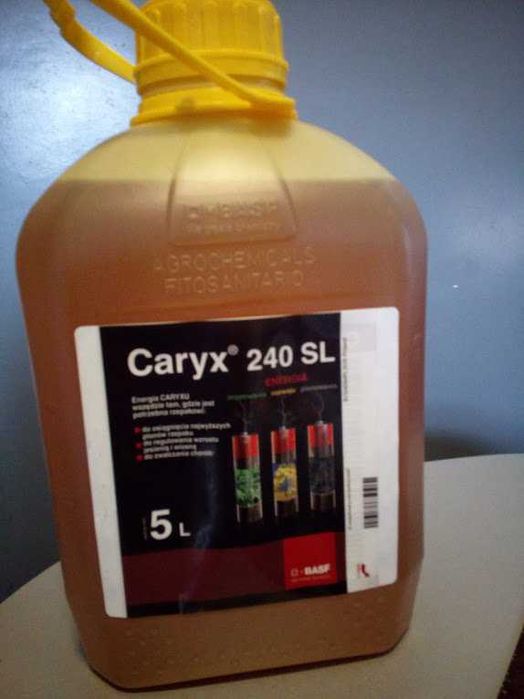 Caryx 5L cena brutto