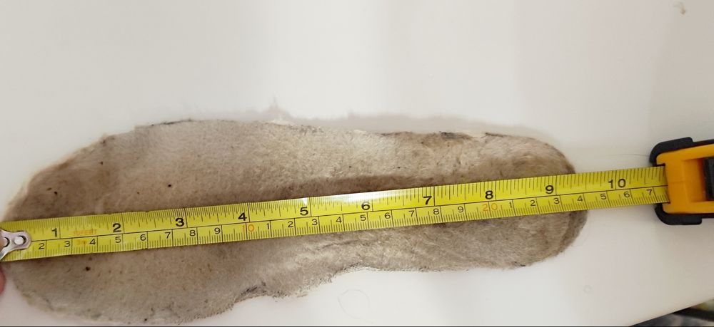 Жіночі уги UGG оригінал