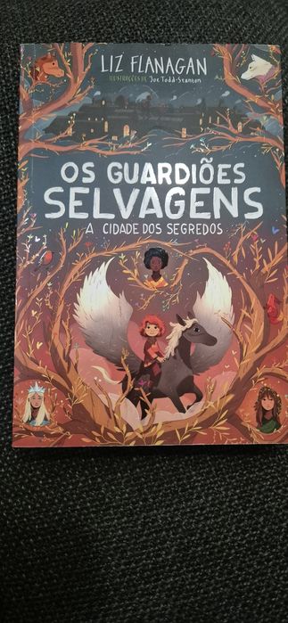 Livro: os guardiões dos segredos