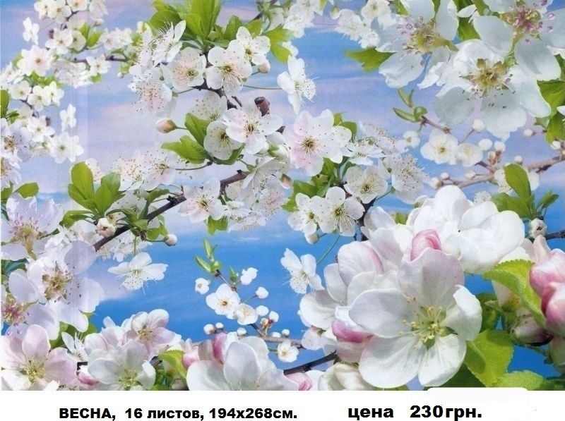 Фотообои глянцевые!  Шпалери.