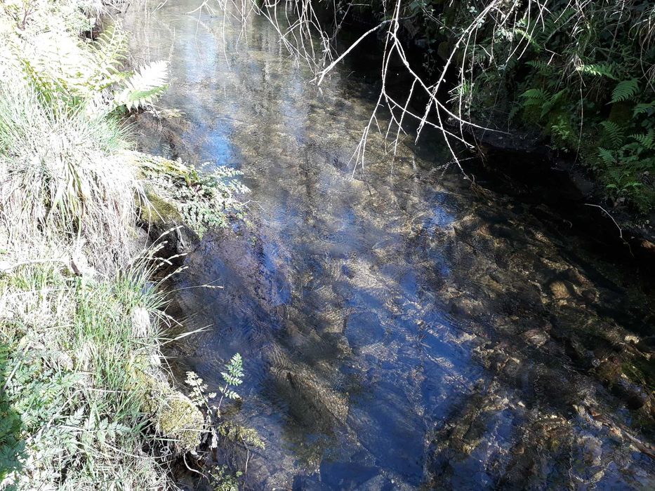 Terreno / Quinta , Penafiel, perto do Porto, 8000 m2, 30 000€