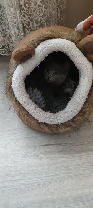 Продам домік лежанку