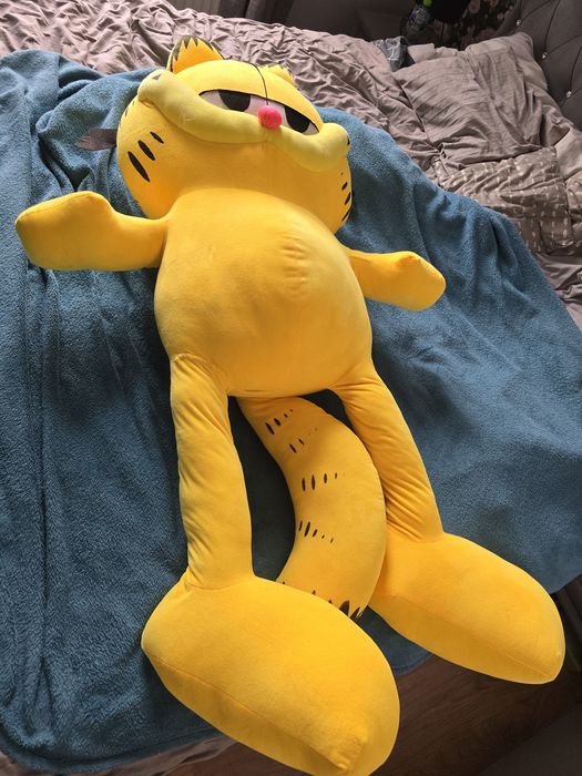 Sprzedam Garfield 
2004