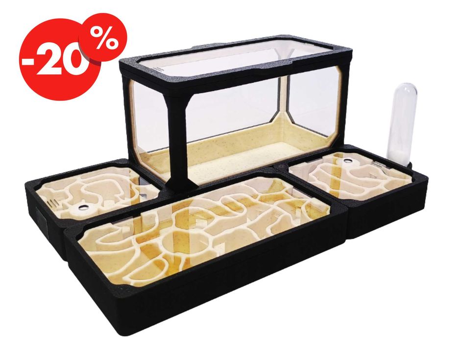 Formikarium AVERAGE L - Terrarium Dla Mrówek Modułowe 210x140 - OKAZJA