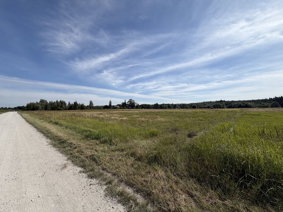 Działka na sprzedaż, warunki zabudowy, Chełmiński Park Krajobrazowy, w pobliżu jeziora 4,67ha - Więcej