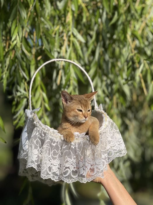 Малюк чекає на люблячу матусю